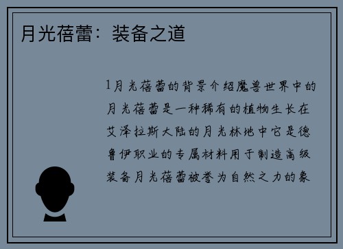 月光蓓蕾：装备之道